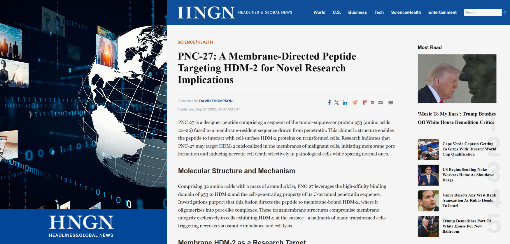 case_img_hngn